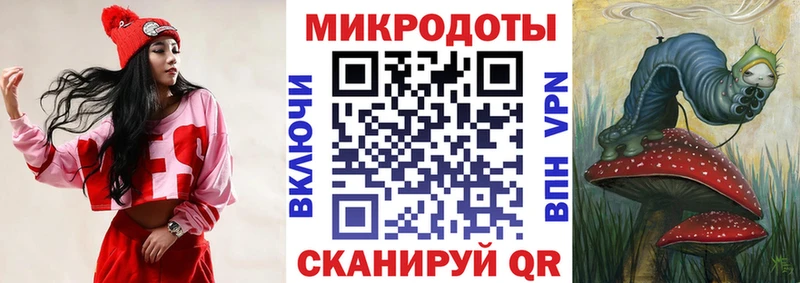 где купить Карталы Псилоцибиновые грибы GOLDEN TEACHER