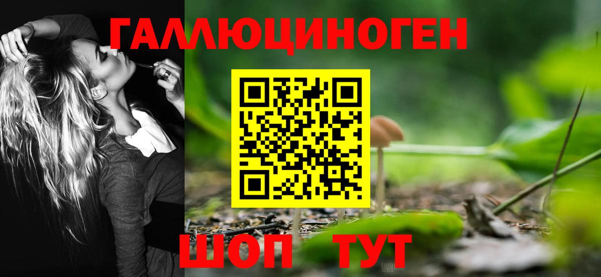 наркота  Псилоцибиновые грибы прущие грибы  Карталы  Вход с VPN  Галлюциногенные грибы MAGIC MUSHROOMS 